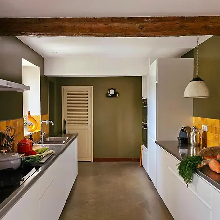 Manor House With Pool In Charming Occitan Village Feriehus Bize-Minervois