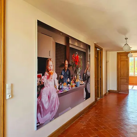 Manor House With Pool In Charming Occitan Village * Bize-Minervois