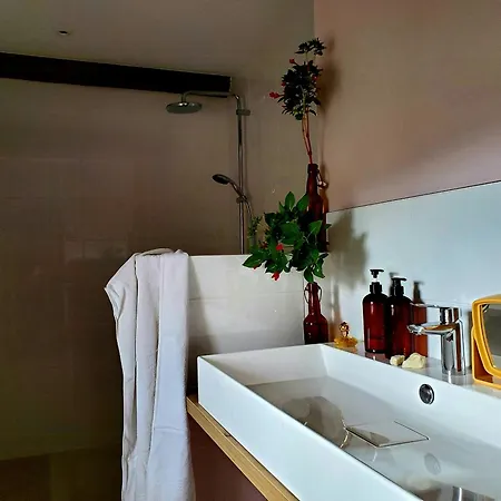 Manor House With Pool In Charming Occitan Village Bize-Minervois